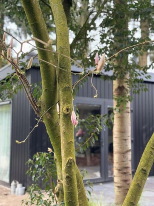 Veluwe Boutique Lodge Putten Exterior photo